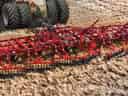 Sunflower Fallow Tillage