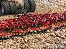 Sunflower Fallow Tillage