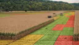 Precision Planting YieldSense Base