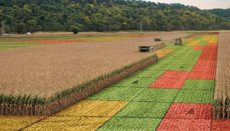 Precision Planting YieldSense Base