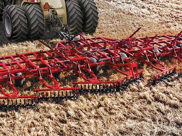 Sunflower Fallow Tillage